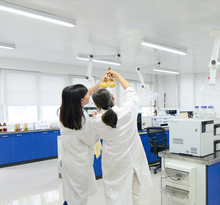 Z6��������Ȧ���й����ٷ���վ