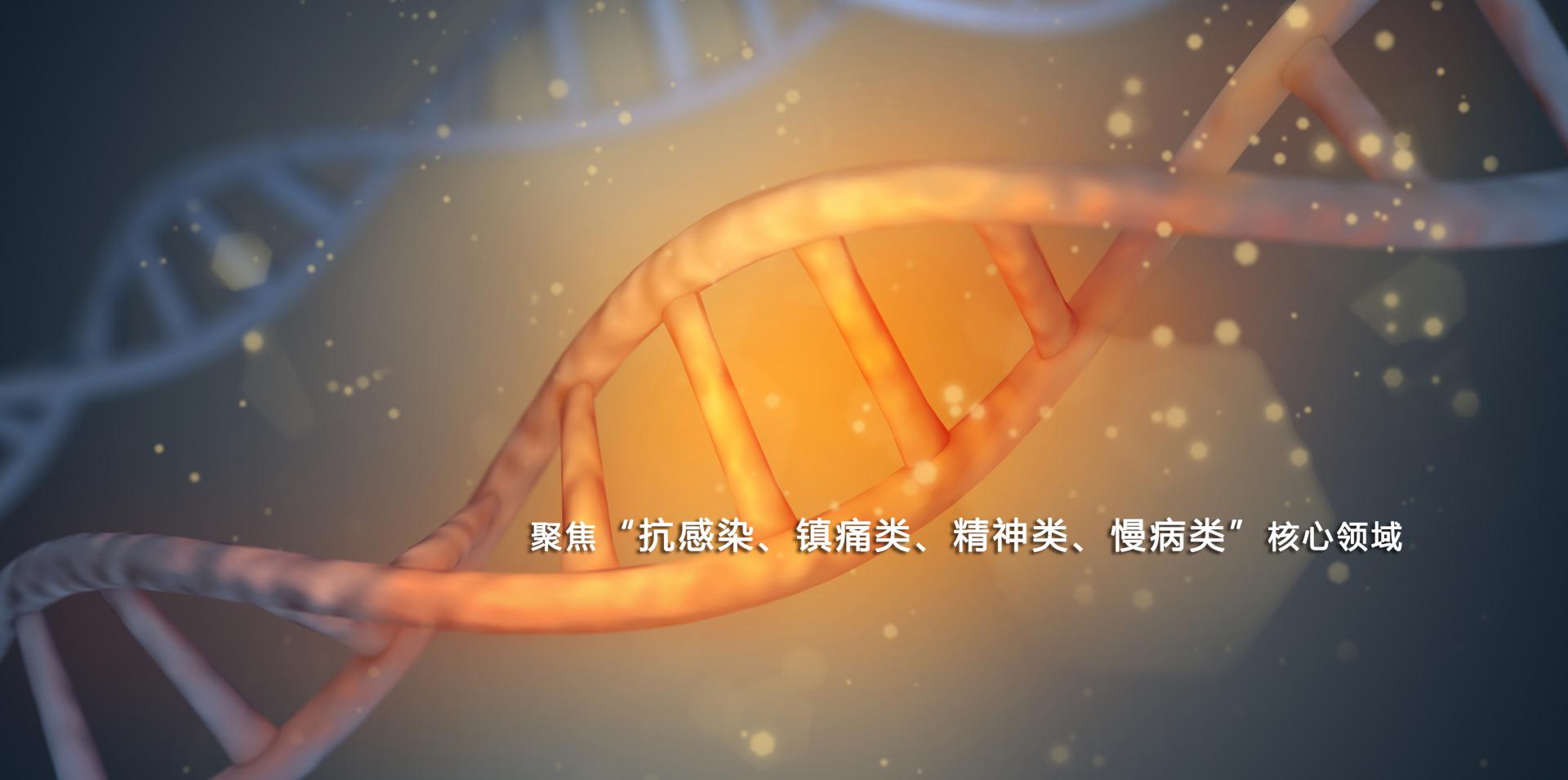 Z6��������Ȧ���й����ٷ���վ